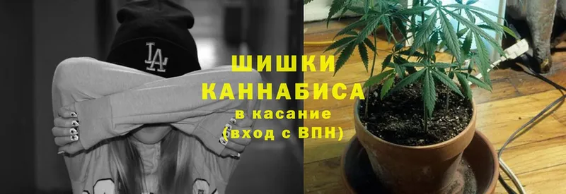 Канабис марихуана  купить   Шахты 